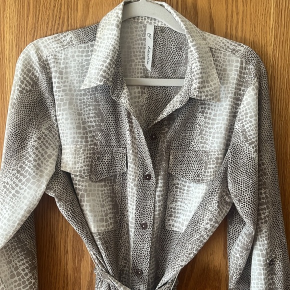 NY Collection snakeskin shirt dress - Picture 2 of 9